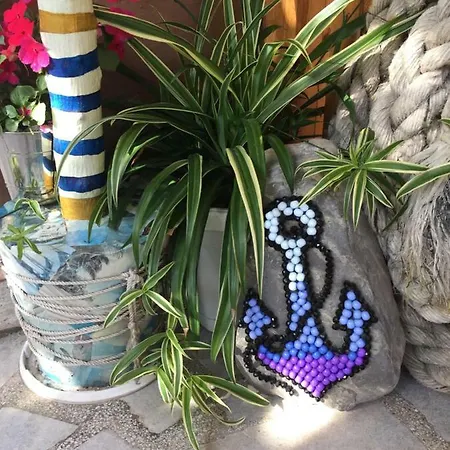 招待所 Gloria 内塞伯尔